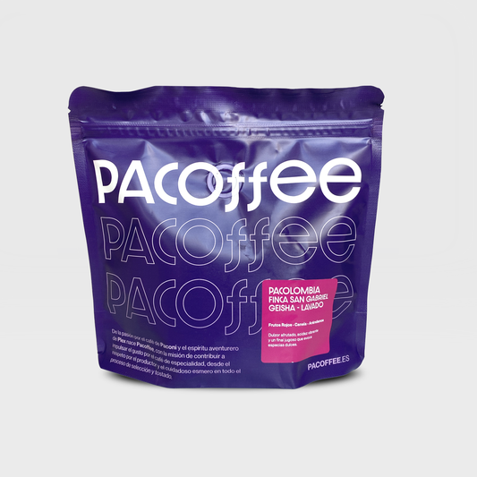 PACOLOMBIA Geisha - Lavado